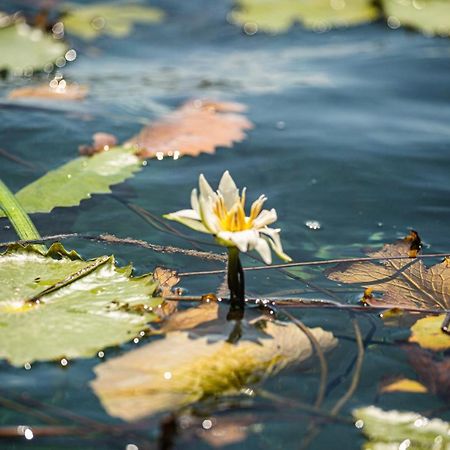 Casa Sol Y Luna Bacalar Bed & Breakfast Ngoại thất bức ảnh